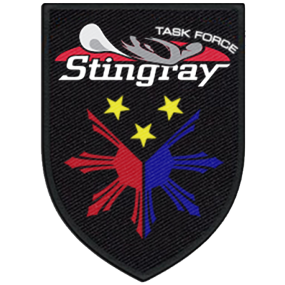 Task Force Stingray unit patch