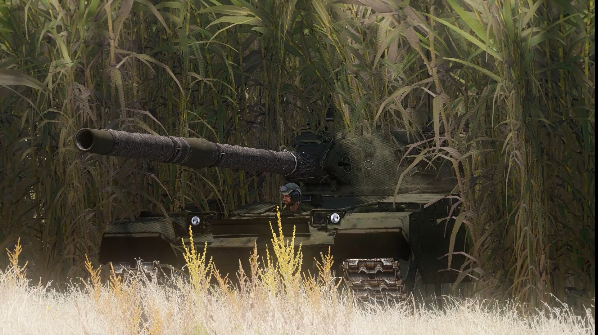 Armoured vehicle in bush cover
